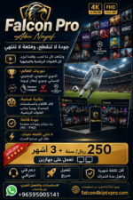 image 3 أغسطس 2026، 07 30 25 م